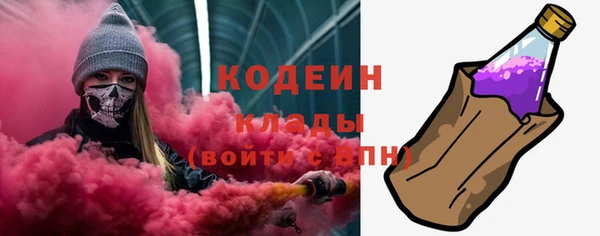 шишки Арсеньев