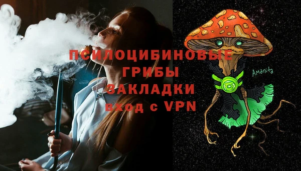 сатива Аркадак