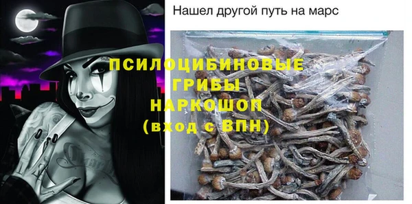 индика Армянск
