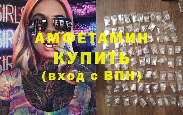 сатива Новокубанск