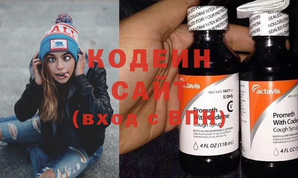 шишки Арсеньев