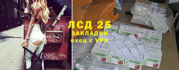 сатива Аркадак