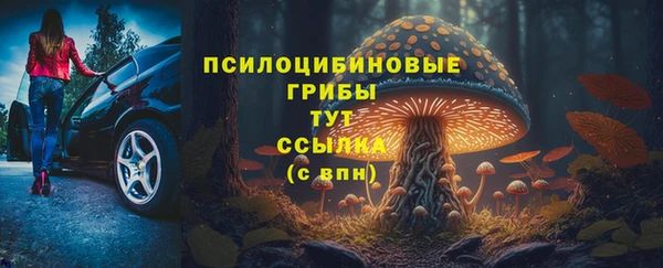 индика Армянск