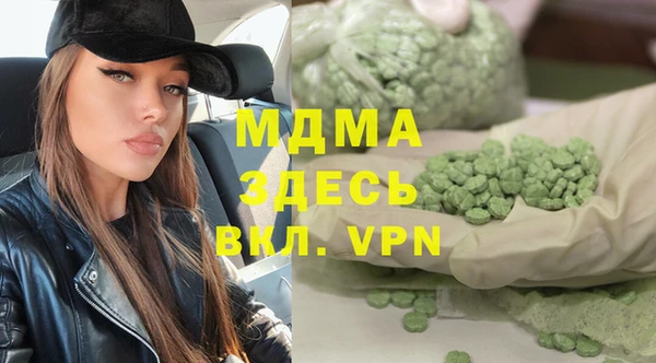 шишки Арсеньев