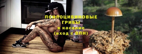 сатива Аркадак