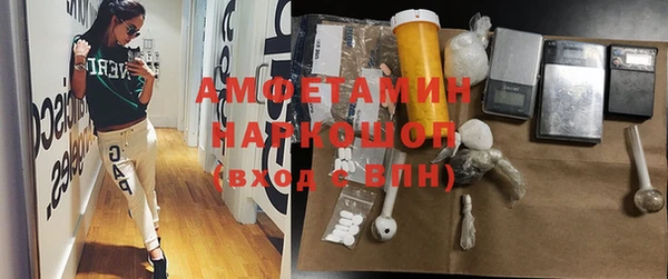 сатива Аркадак