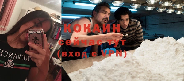 ECSTASY Новозыбков