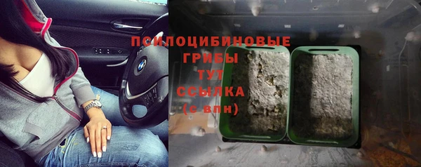 индика Армянск