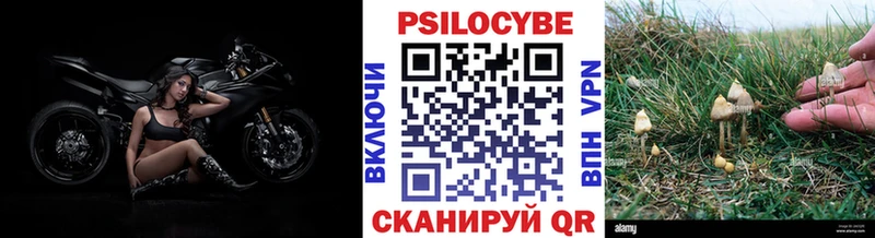 Галлюциногенные грибы MAGIC MUSHROOMS  блэк спрут сайт  Омутнинск  продажа наркотиков 