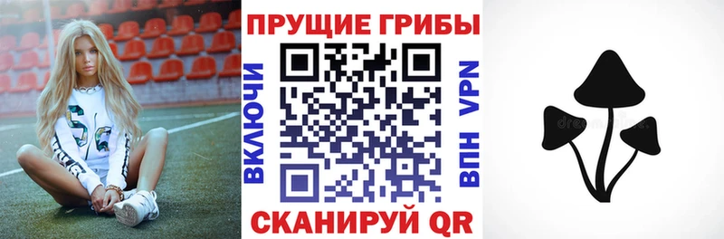 Галлюциногенные грибы ЛСД Омутнинск